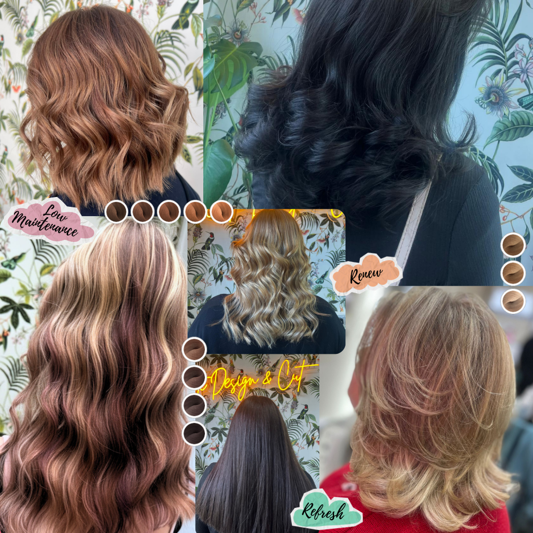 Balayage and Restyles with Hannah