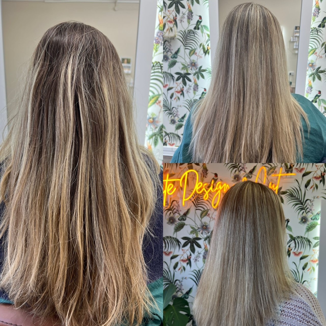 Blonde Highlights cut and finish